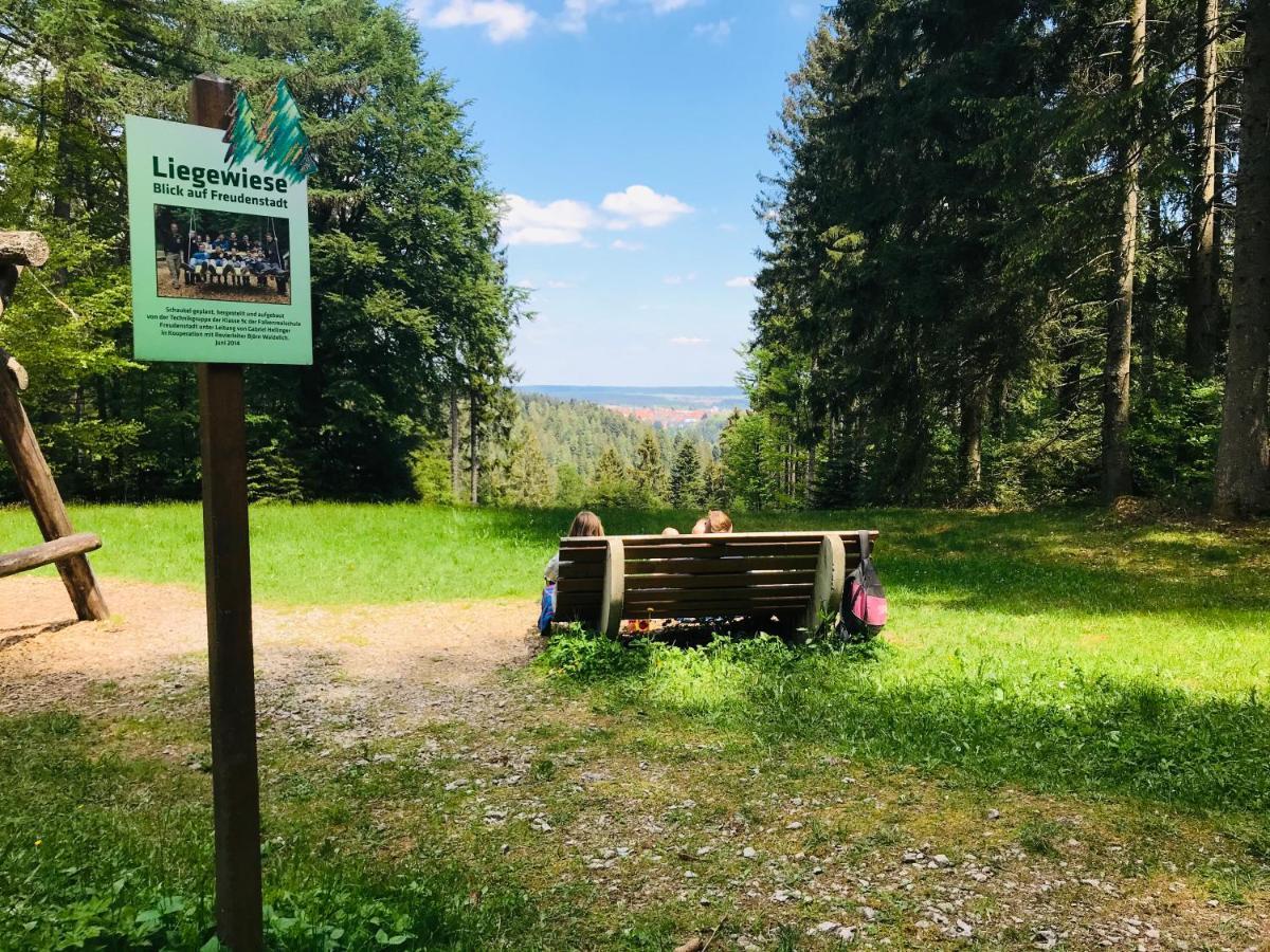 Haus Jenni Im Schwarzwald, 3,5-Zimmer, Grosse Terrasse Фройденщат Екстериор снимка